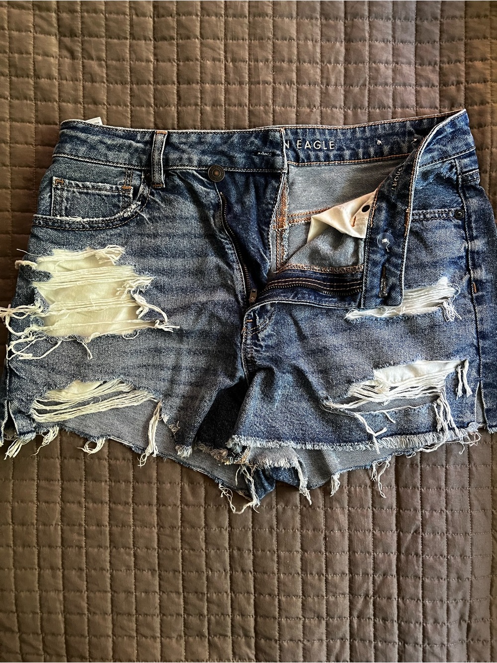 American Eagle Outfitters Ripped Light Blue Denim Cutoff Shorts